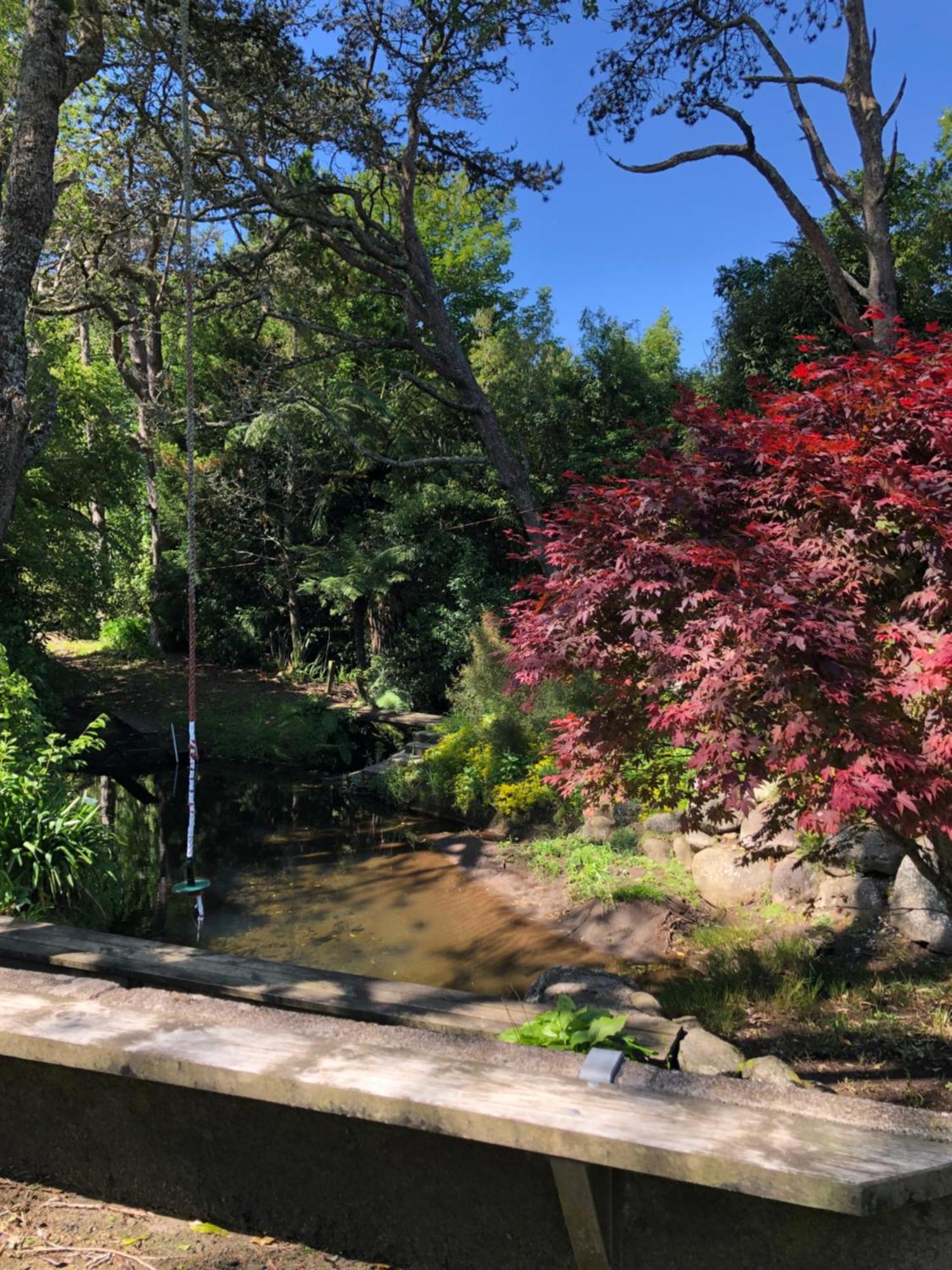 Tiny Home Luxury Farm Escape New Plymouth Egmont Village エクステリア 写真